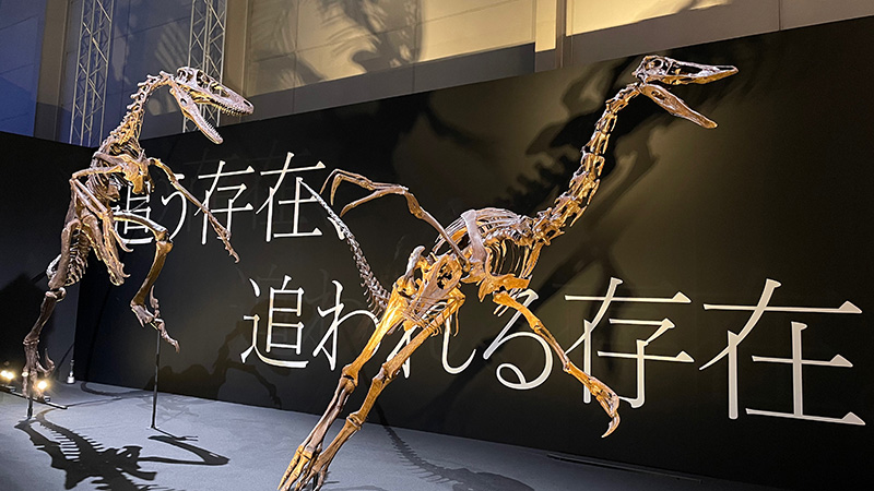 DinoScience 恐竜科学博のイメージです