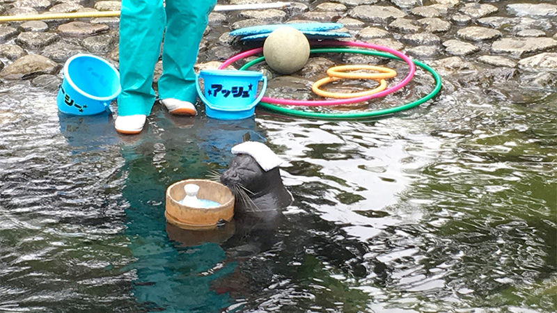 箱根水族館のイメージです