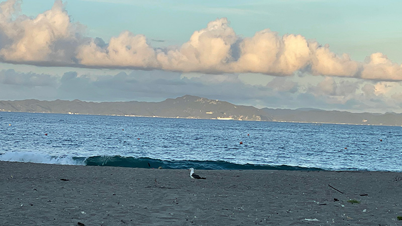 三浦海岸のイメージです